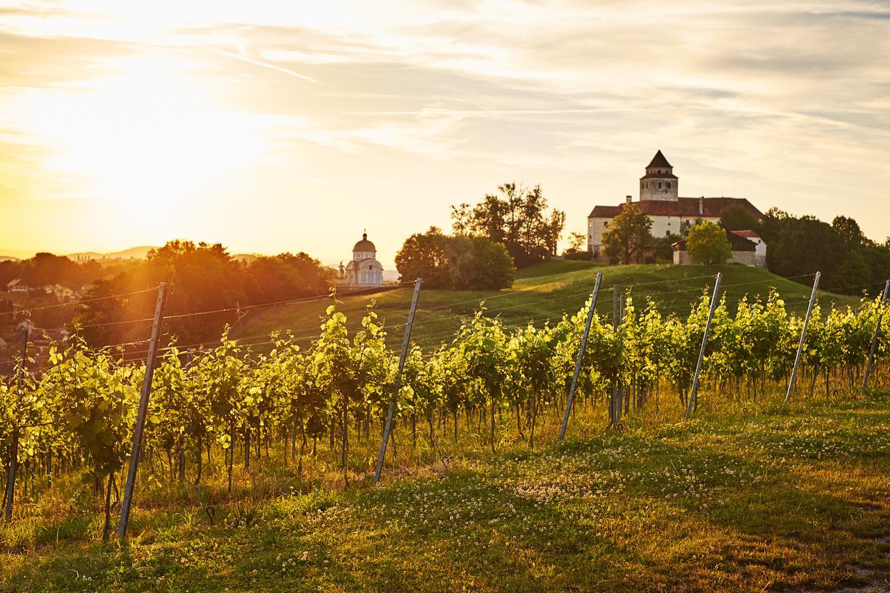 Loisium Wine & Spa Hotel Suedsteiermark Ehrenhausen Exterior photo